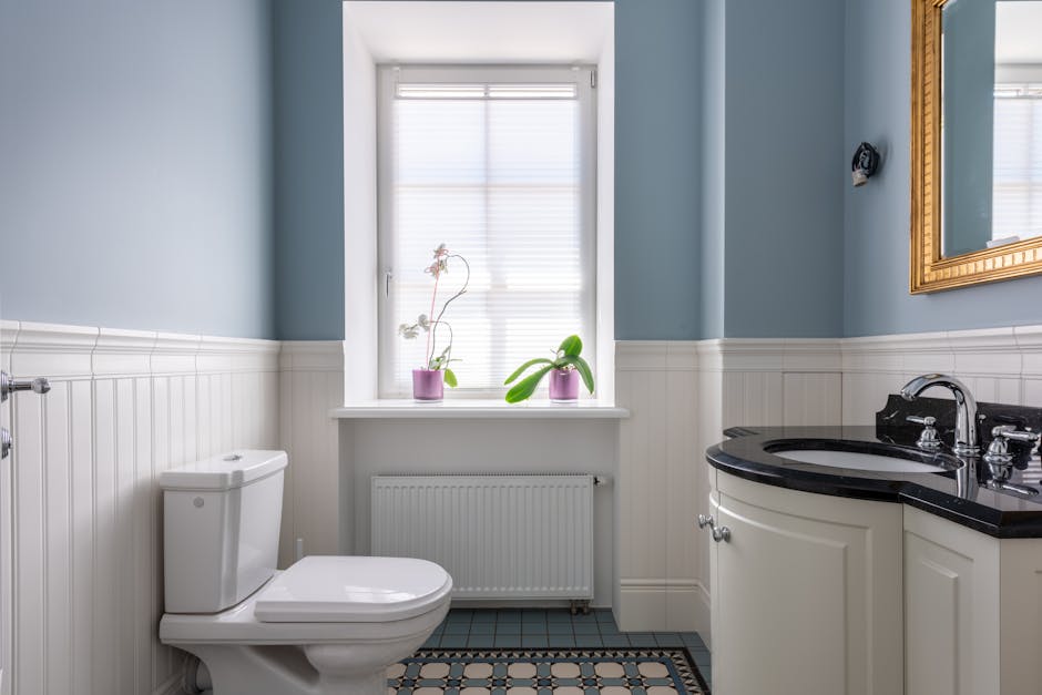 Toilet Repair & Installation in DeLand, FL - The DeLand Plumber